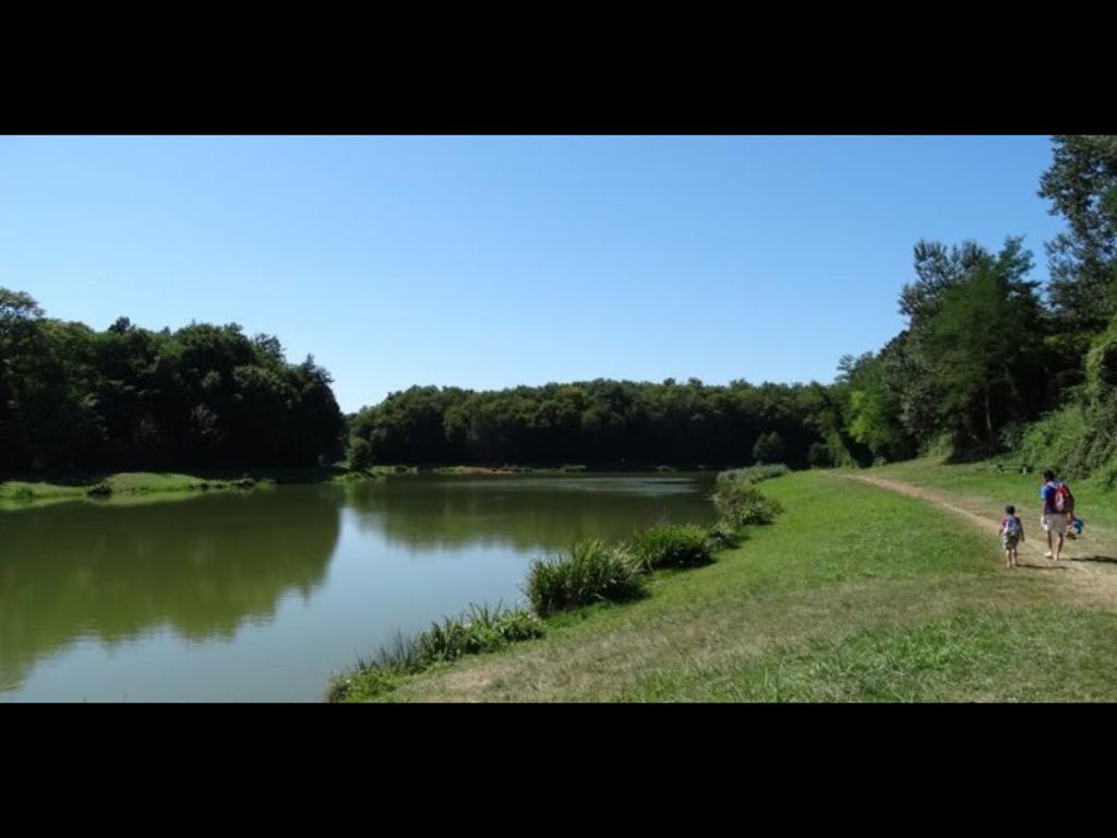 Aire de pique-nique du domaine nature et loisirs de Blasimon